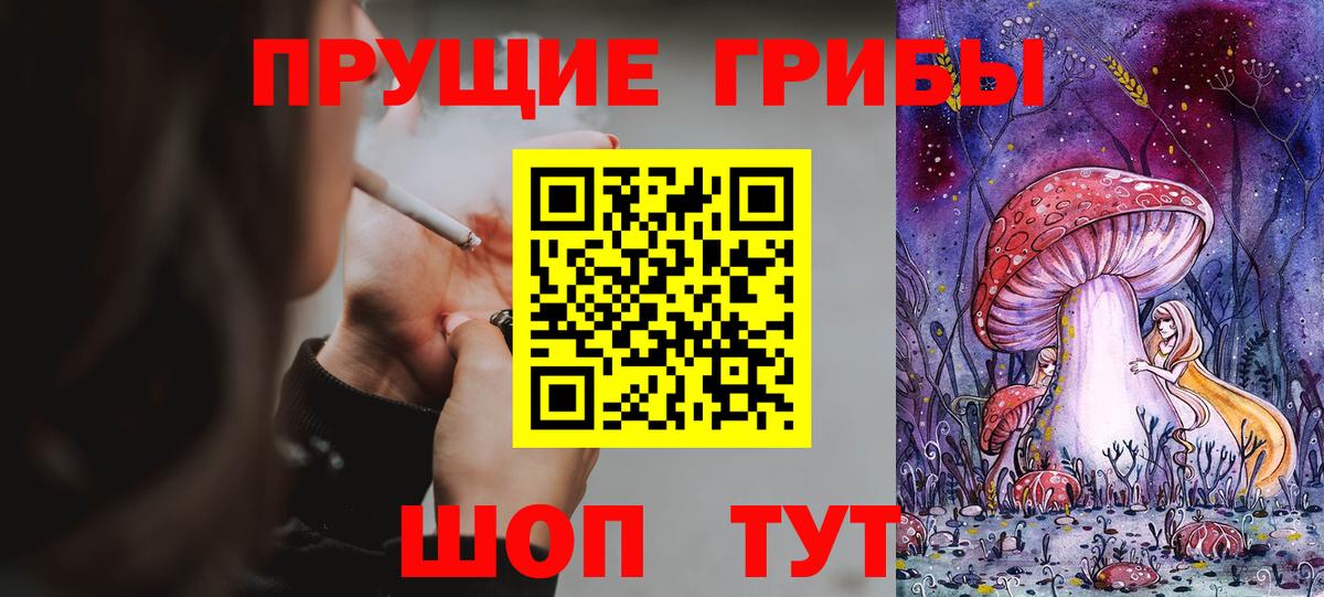 Алейск  Псилоцибиновые грибы Psilocybine cubensis  Галлюциногенные грибы Psilocybine cubensis  Вход с VPN 